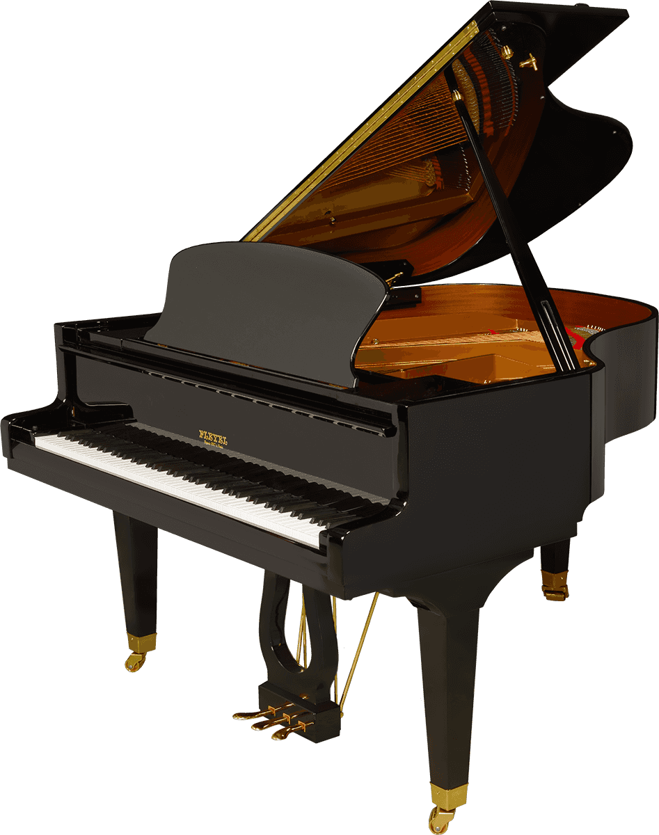 Le piano à queue — Griffon