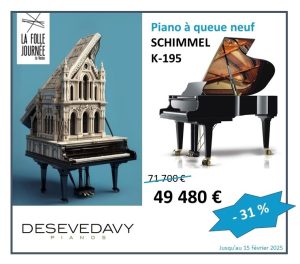 Promo Folle Journée SCHIMMEL K195