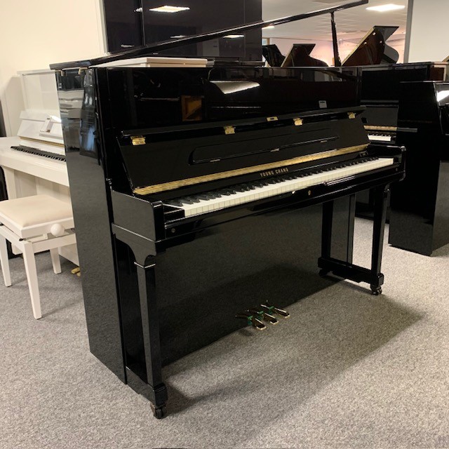 YOUNG CHANG E118 Noir Brillant Occasion