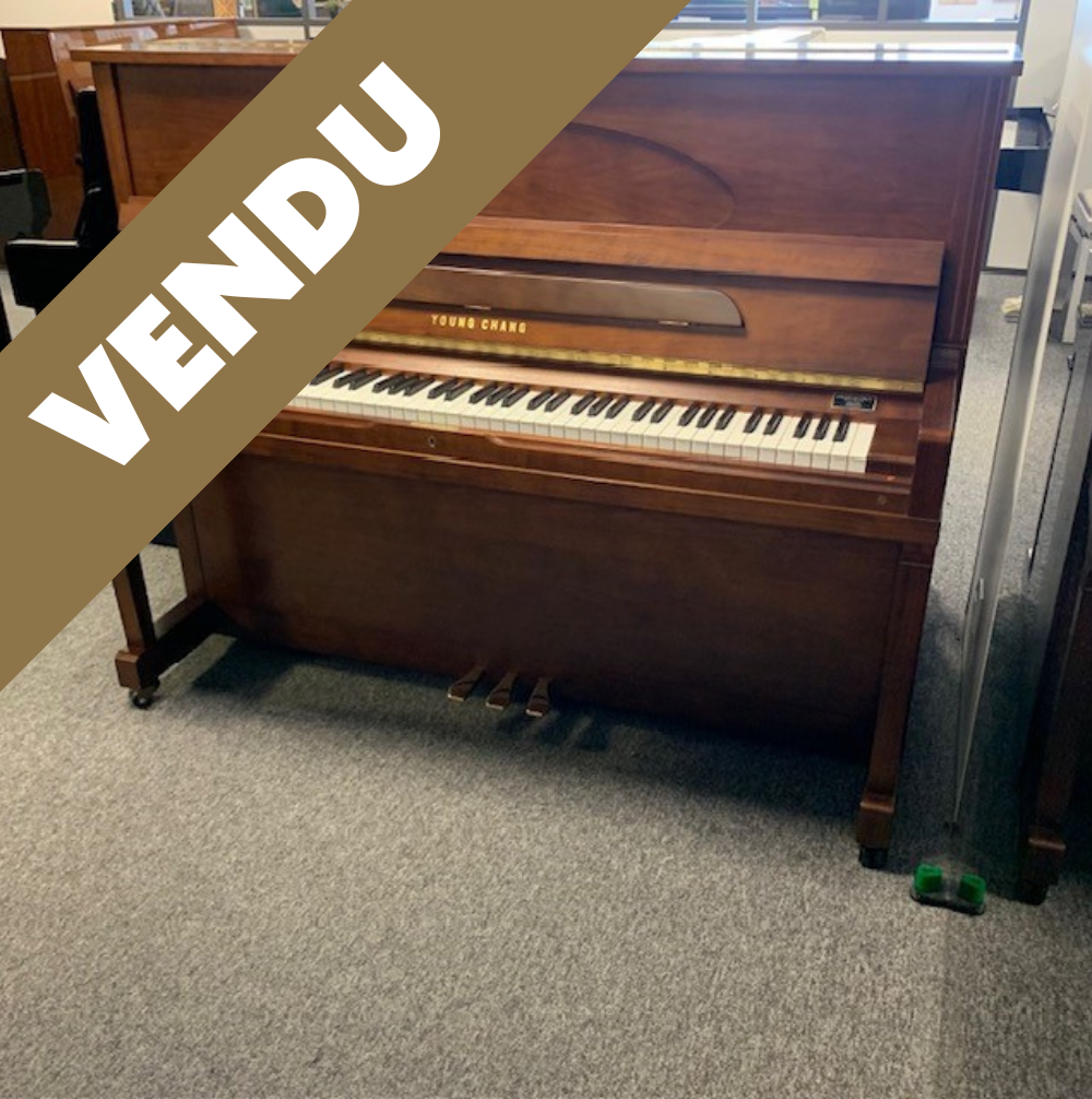 YOUNG CHANG E121 Noyer Satiné Occasion