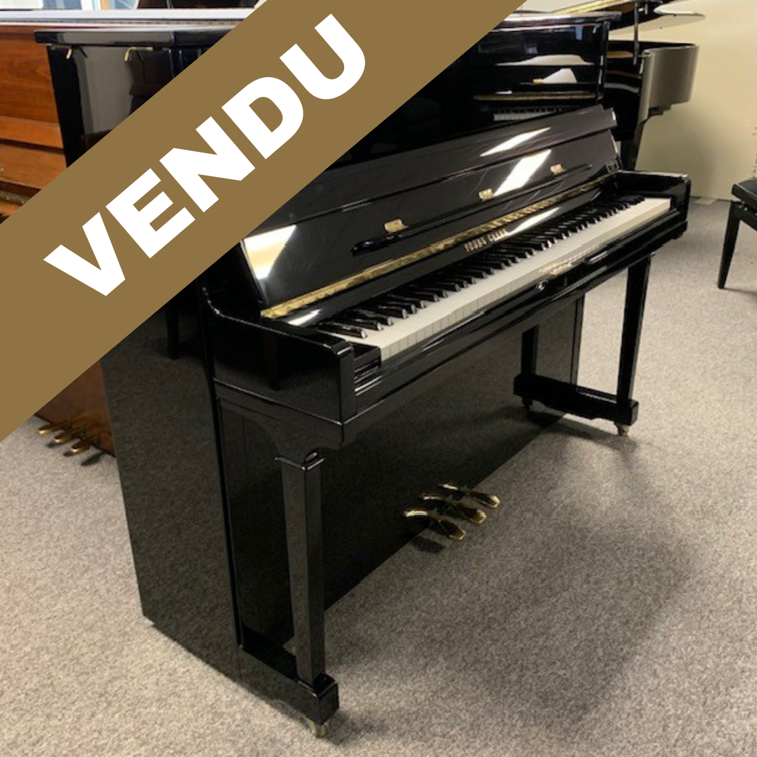 YOUNG CHANG U121 Noir Brillant Occasion