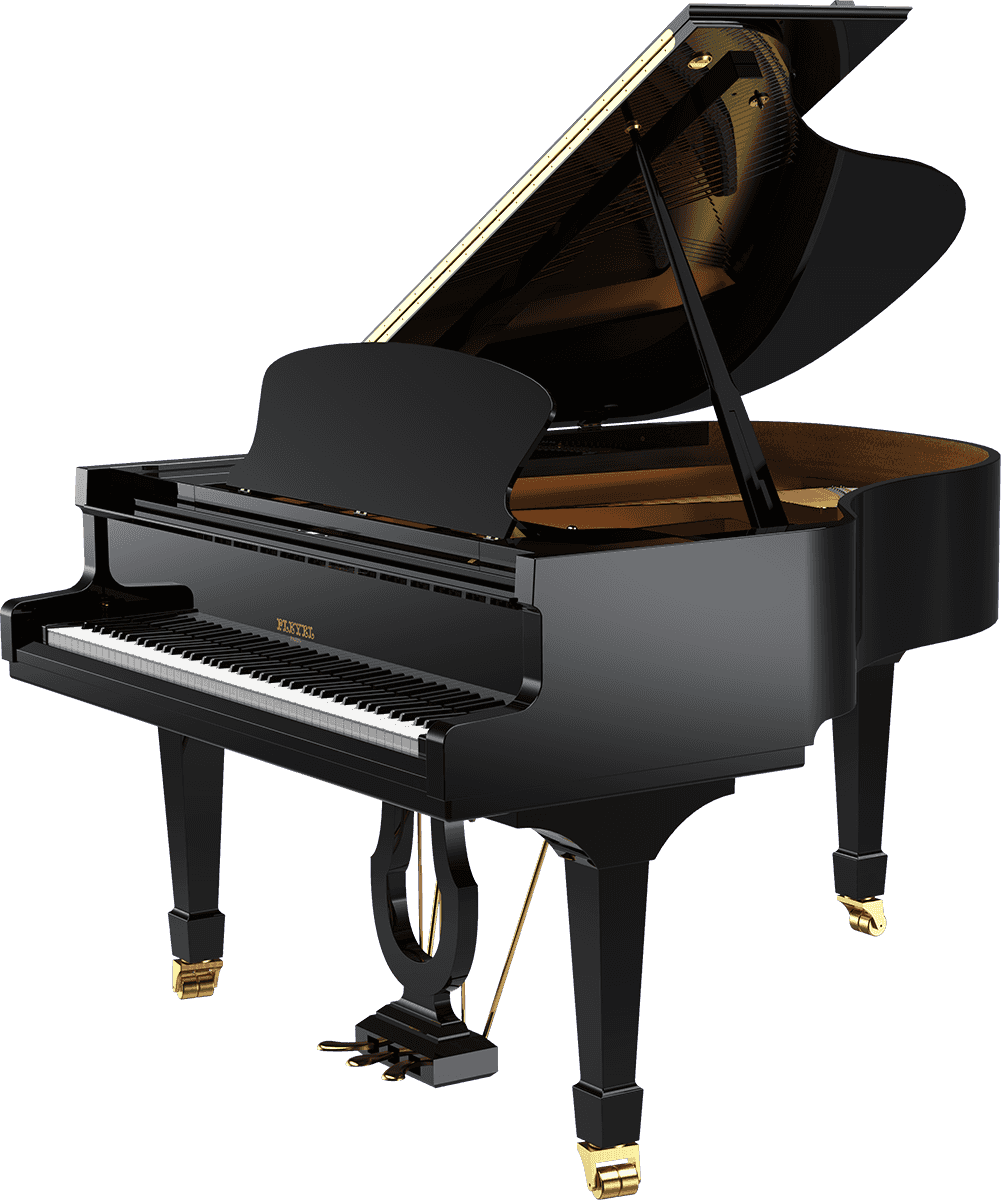 PLEYEL F 170 Walkyrie Noir Brillant