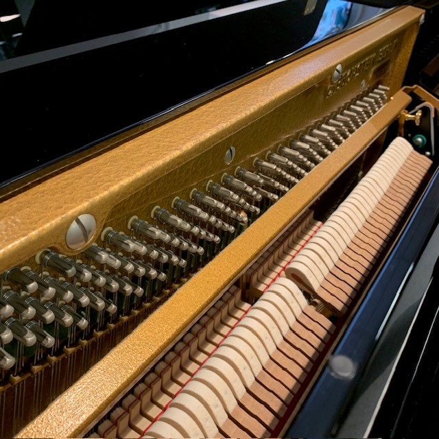 C. BECHSTEIN 116 Millenium mk2 Noir Brillant - Occasion