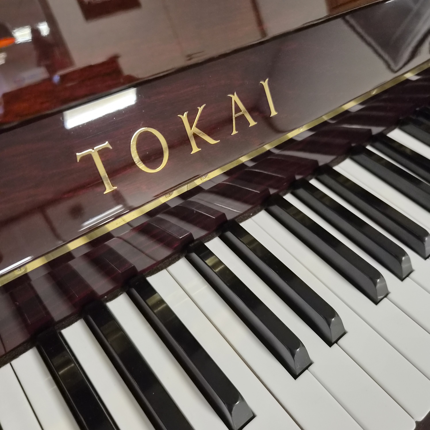 Tokaï MU-1 Acajou Brillant Occasion